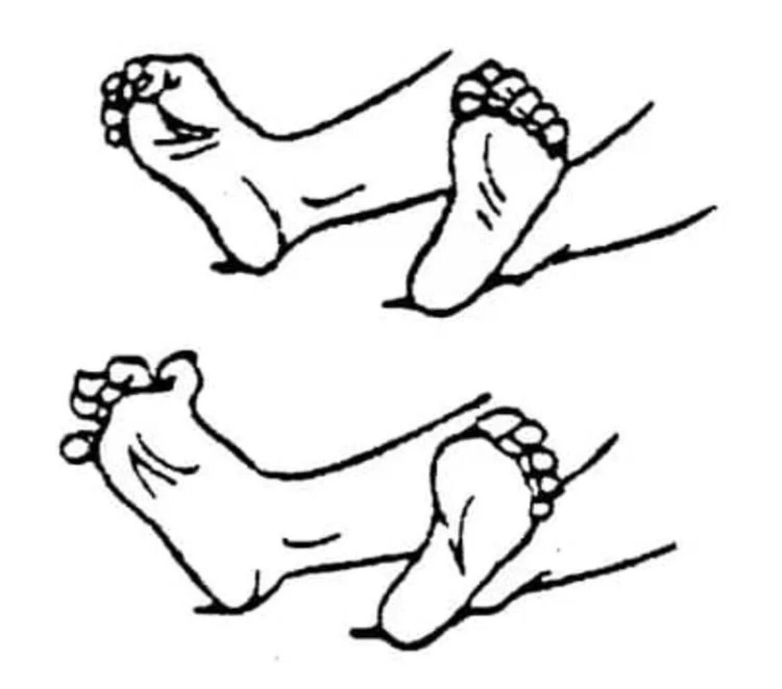 Упражнения для пальцев стопы. Сжимание и разжимание пальцев ног. Упражнения для стопы и пальцев ног. Сгибание и разгибание пальцев ног. Сгибание стопы упражнения.