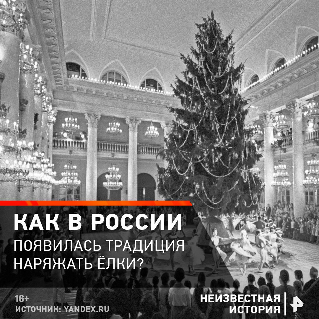 Как в России появилась традиция наряжать ёлку? «Пётр I привёз из Европы», —  скажете вы и будете правы. Но не всё так просто! | РЕН ТВ  телеканал-блокбастер | Дзен