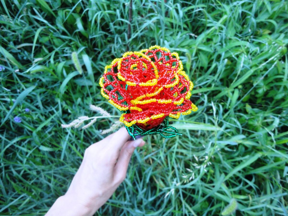 И ещё немного ажурной розы