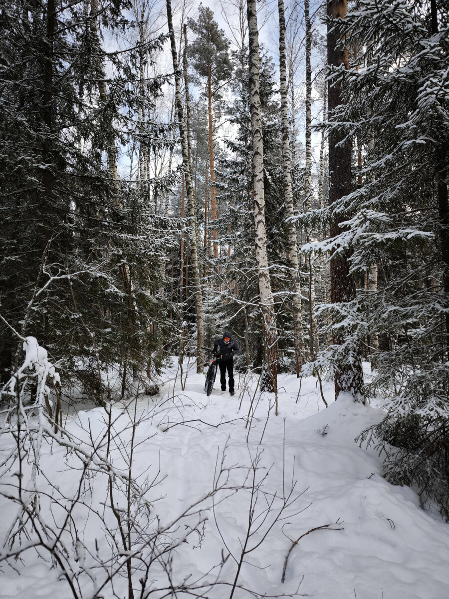 Paths in the park. Двор далеко. Асфальт церковь в далеке. Двор далеко. Листья над дорожкой в лесу.