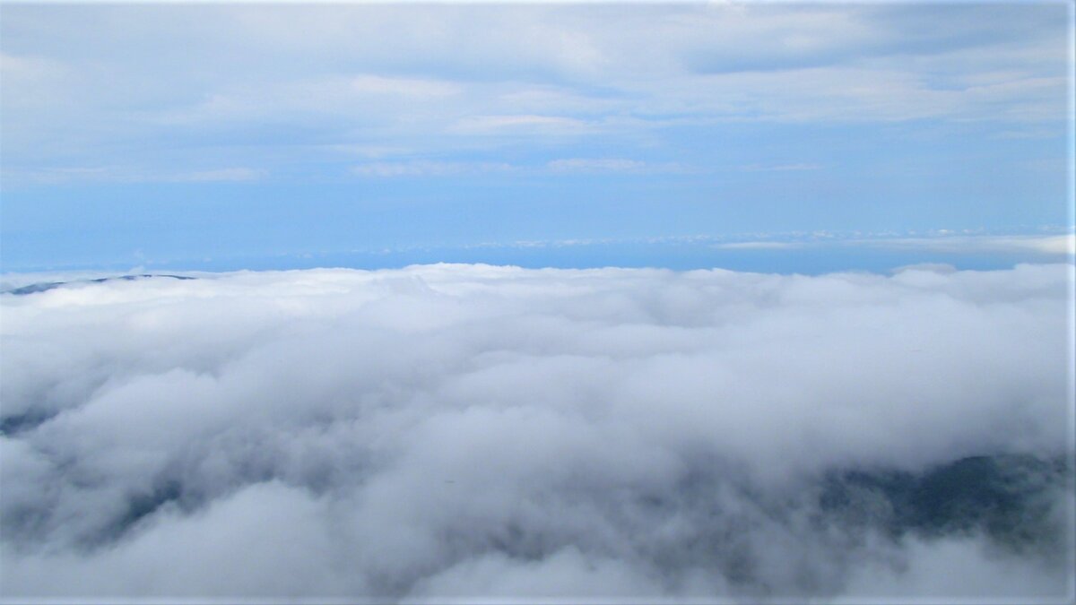 Красивое небо. Вид над облаками. Голубое небо. Над облаками. Небо с облаками.