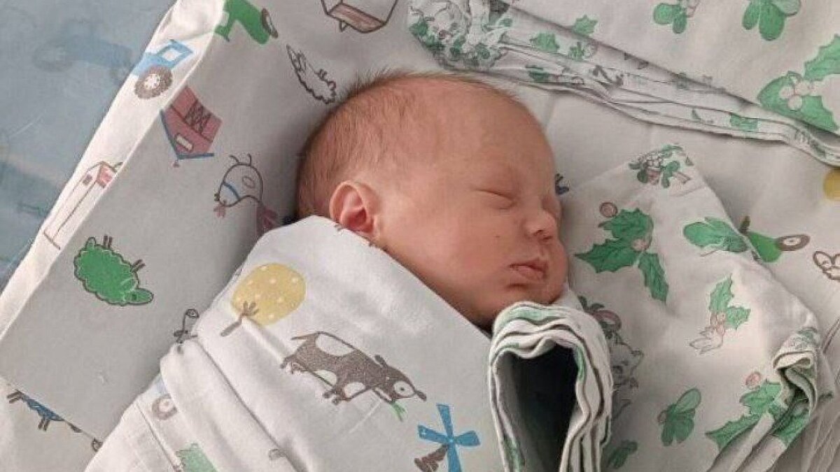    102 ребёнка родились на Кубани в день перед Рождеством Фото: t.me/evgeniiFilippov23