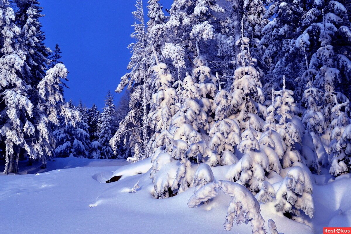 Картинка взята из  источника,  находящегося  в свободном доступе.