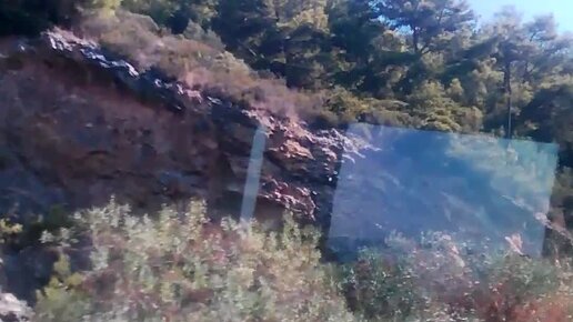 Дарья яндекс. Странички жизни яндекс дзен. Малинка рассказы на дзен. Счастливый амулет яндекс дзен читать. Дзенские рассказы.