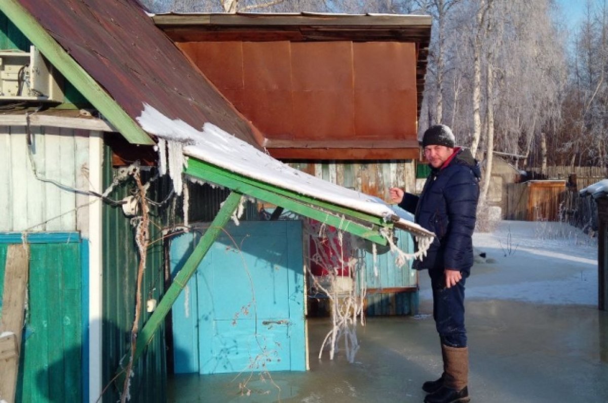    Появились фото затопленного грунтовыми водами СНТ в Чите
