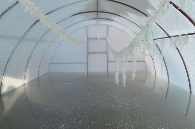    Замёрзшая вода стоит в домах и на участках. Фото:  АиФ/ Анастасия Раевская