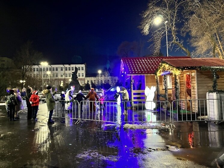     Резиденция Деда Мороза в Саратове. Фото: Сергей Климушев