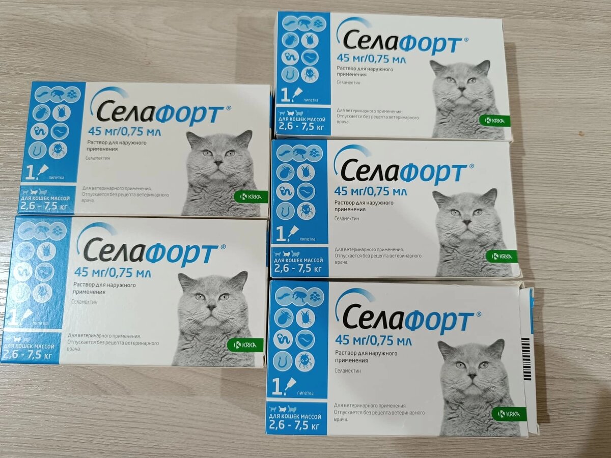 Нужда забота. Любовь и нравственность. Ладони семьи. Пожилые люди. Нужда забота.