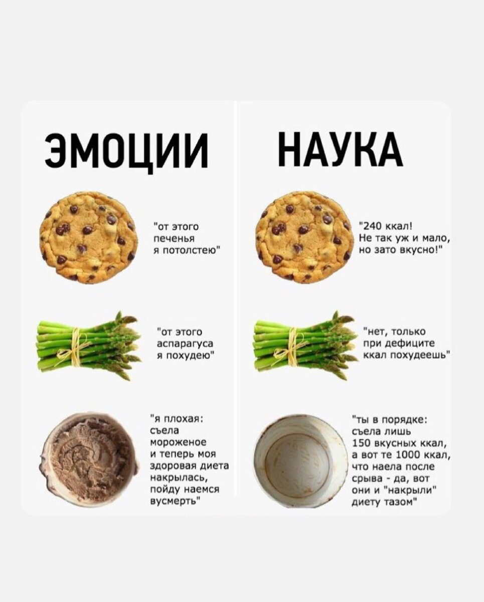 Пища ошибка. Пища ошибка