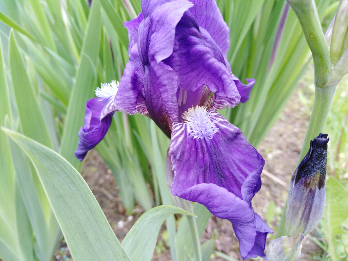 Сокращения часовые пояса. Единицы времени задания. Сколько времени?. Часы минуты 2 класс. Сейчас 2 час.