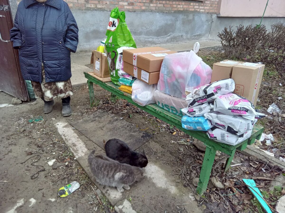 Начинается пол. Начинается пол