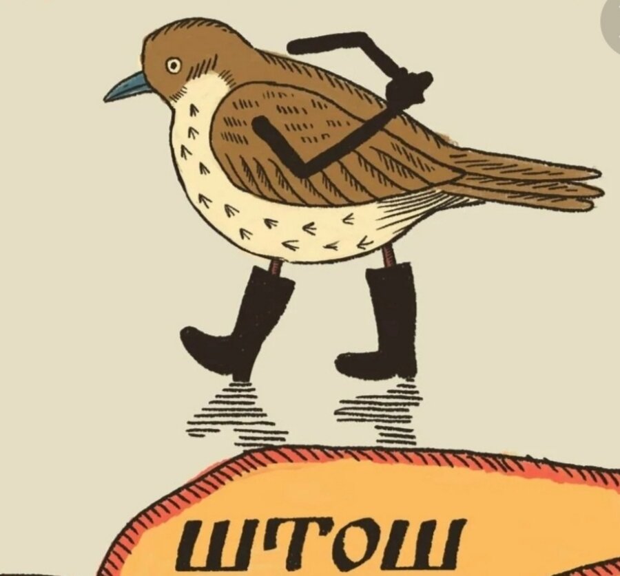 Птичка штош