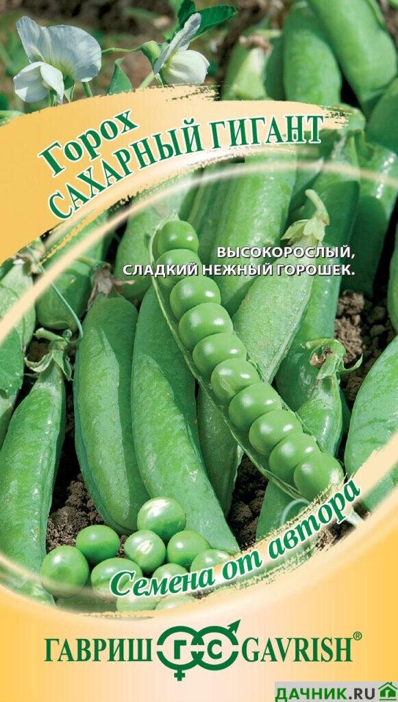 Характеристики и преимущества культуры