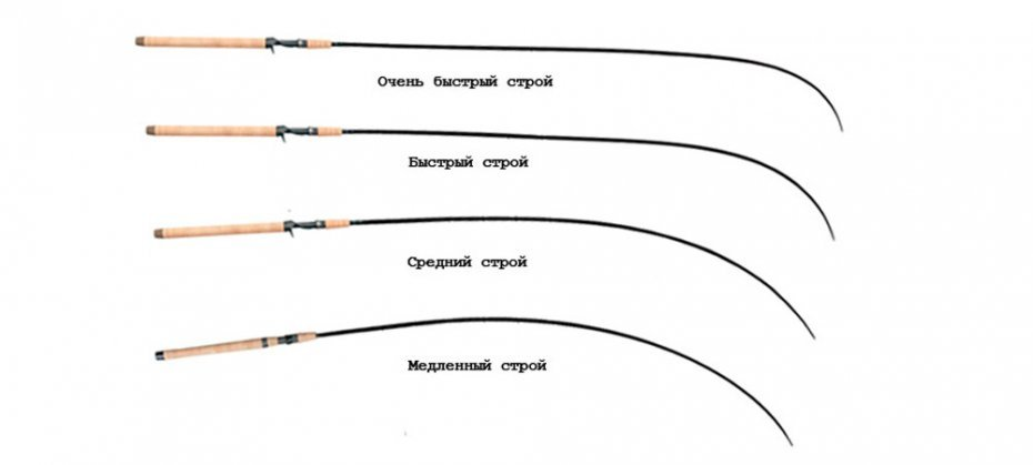Фото с сайта: https://tytkleva.net/wp-content/uploads/2021/05/str.jpg