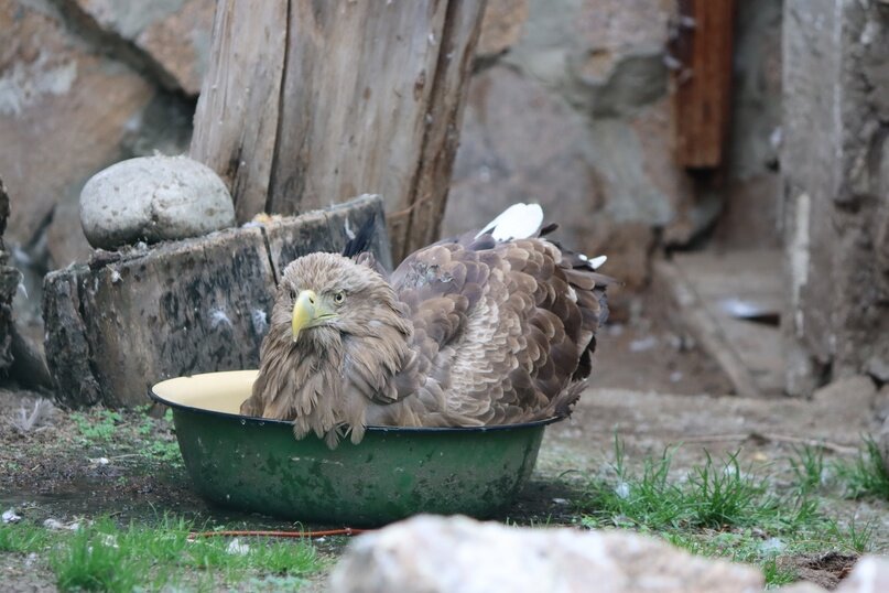 мне нормально -_-