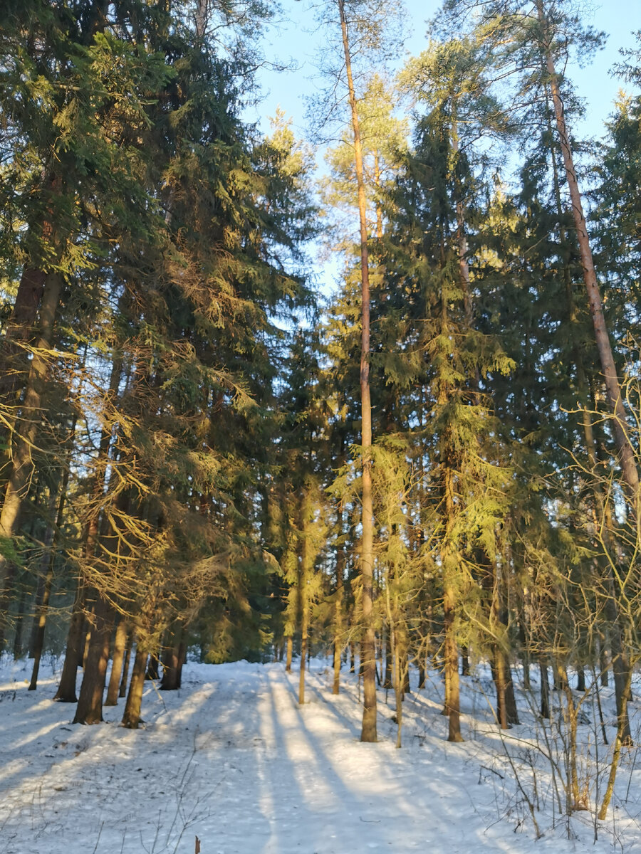 Заданы стороны