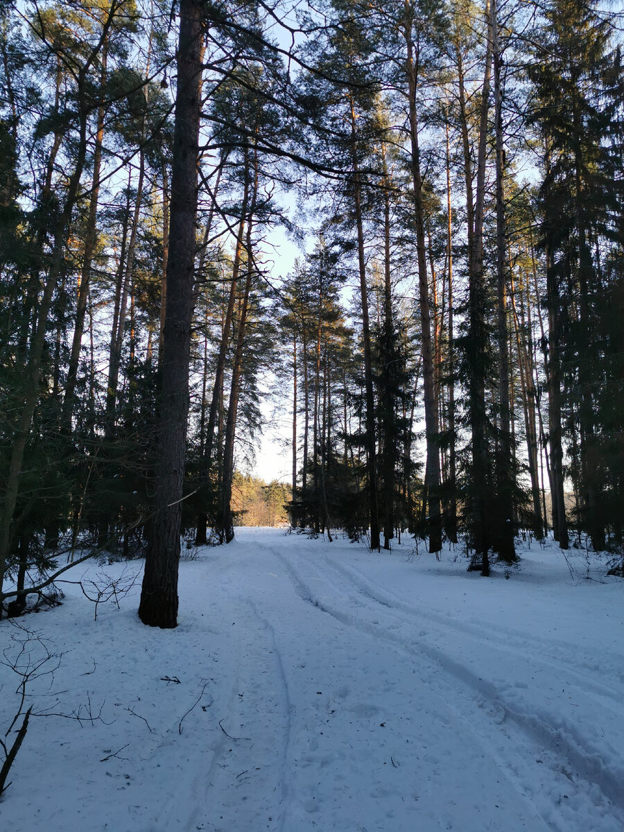 Будет задать время в