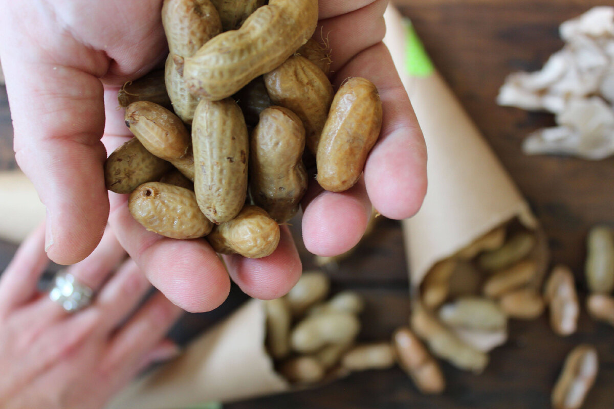 Арахис польза. Польза арахиса для организма. Чем полезен земляной орех. Арахис польза и вред для организма. Ем много арахиса.