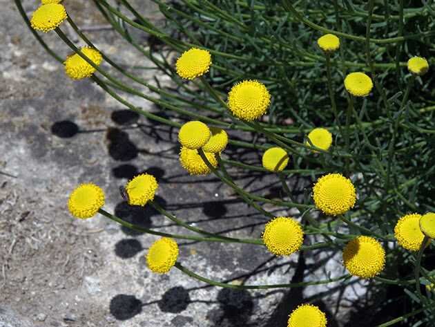 мужчина и женщина любовь. жить здесь и сейчас. легкий ветер. встреча с мечтой. берегите друг друга.