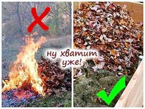 как температура влияет на прорастание семян. влияние наличия почвы на прорастание семян. влияние почвы на прорастание семян опыт. влияет ли наличие почвы. влияние света на прорастание семян опыт.