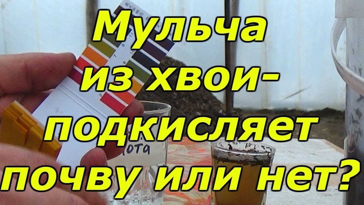Заключение эксперимент. Отчет по результатам эксперимента. Исходя из результатов эксперимента можно сделать. Из результатов опытов ясно что. Исходя из результатов эксперимента можно сделать.