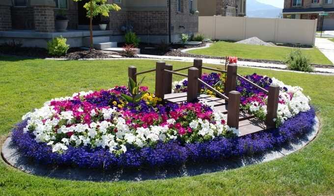 петуния фуксия каскад. петуния королевская клумба. петунья в рабатках. петуния каскадная королевская клумба. клумбы из цветов петунии.