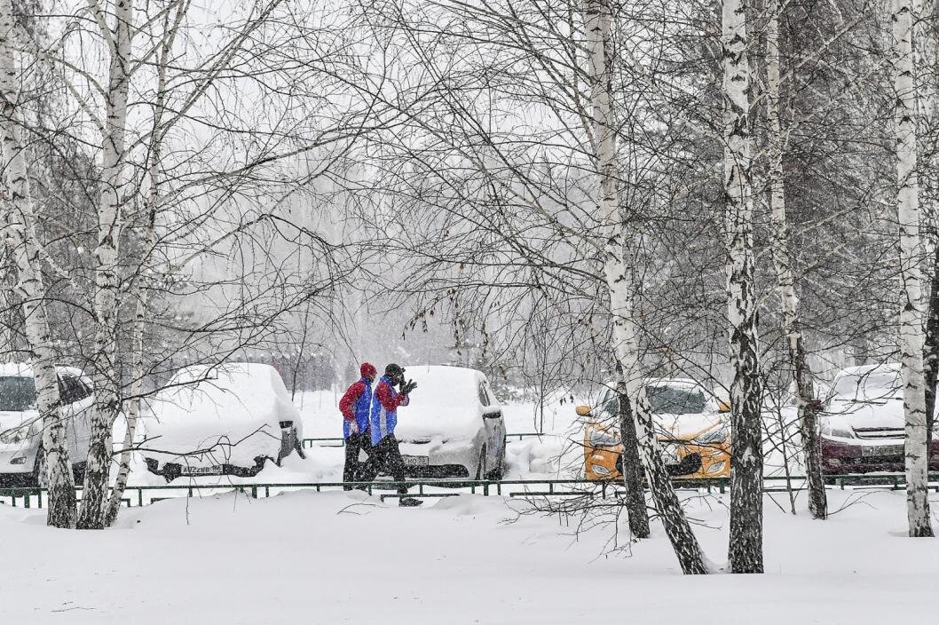 ИА "Тюменская линия"
