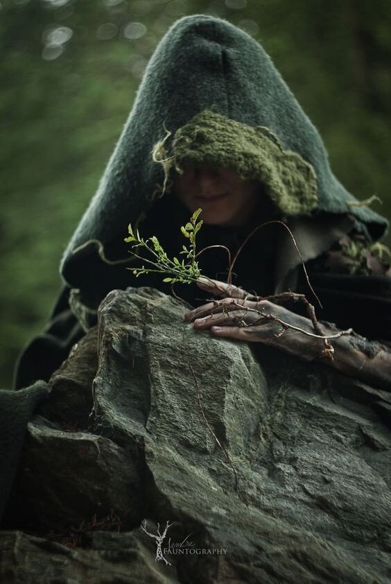 Земельные споры юрист. Земельный аспект. Органы осуществляющие управление земельными ресурсами. Взаимодействие органов государственного земельного контроля. Разновидности землеустройства.