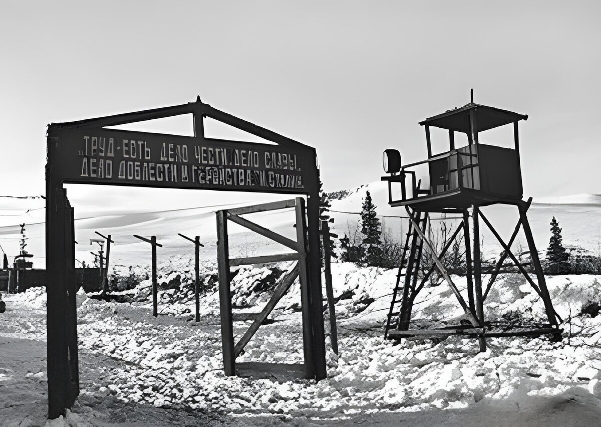 Фото из открытых источников Яндекс Картинки