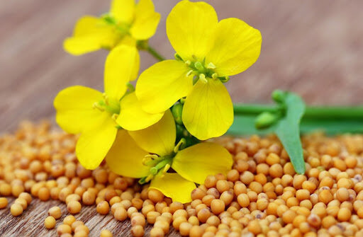 Изображение взято из открытого источника.