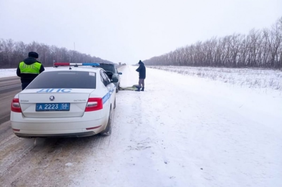    Пензенские гаишники помогли водителю, который ехал в Тульскую область