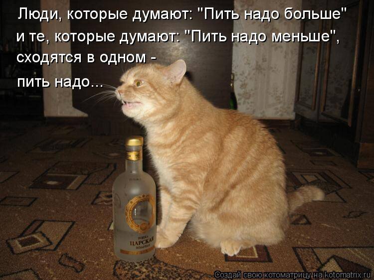Пришел а его не оказалось. Надо выпить. Пить надо меньше пить надо больше пить надо. Надо напиться. Кот и человек напиваются.