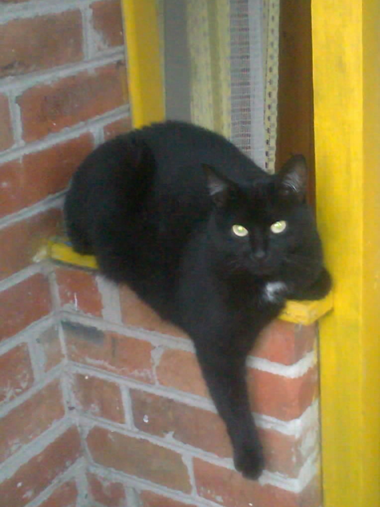 Моя красавица.