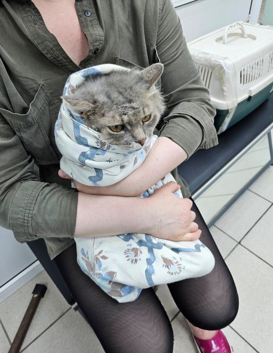 ###ть и к этому ещё опухоль в голове и вот как жить то мне с этим в ...