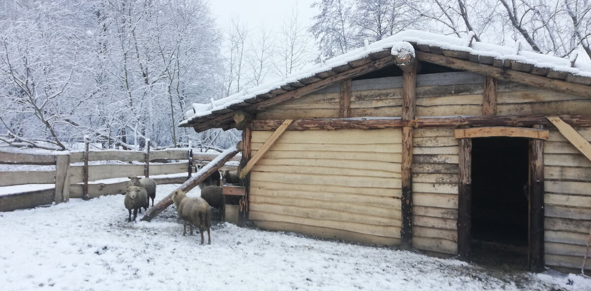 Три четыре буквы