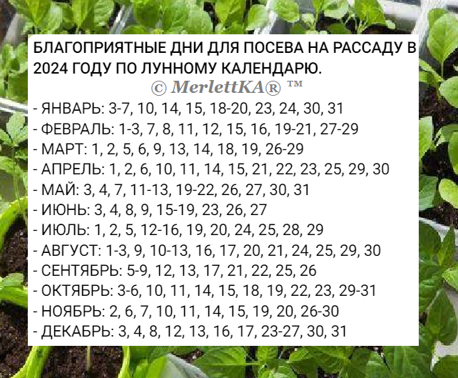 Дни посадки в ноябре