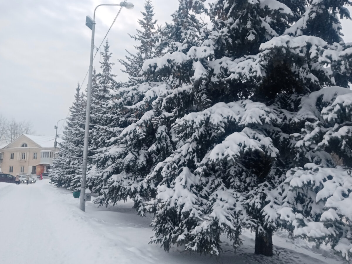 В родном городе на российское Рождество (все фото автора специально для блога)