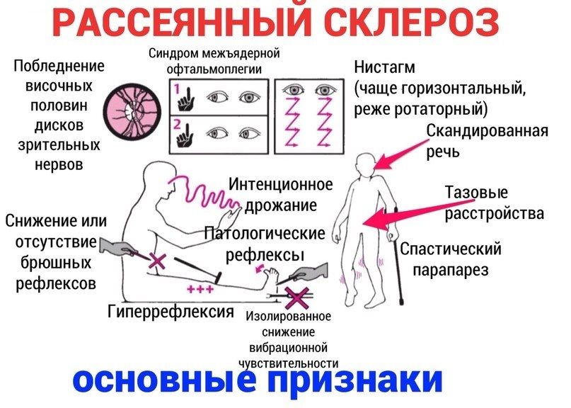 Вещества нервной системы