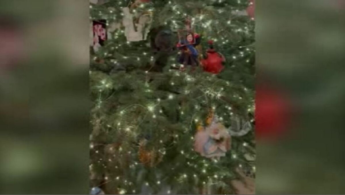    Игрушка курской мастерицы украсила ёлку Эрмитажа