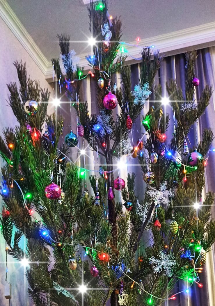 Каждый год ставим живую ёлку (точнее сосну), наряжаем старыми советскими игрушками из моего детства.