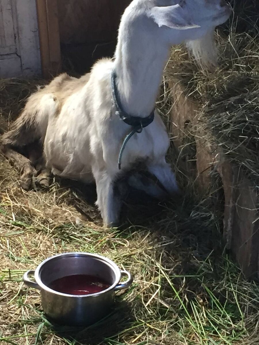 Боль разлуки. Молодость и зрелость. Глаза окна души. Воспоминания о любви. Осенняя печаль.