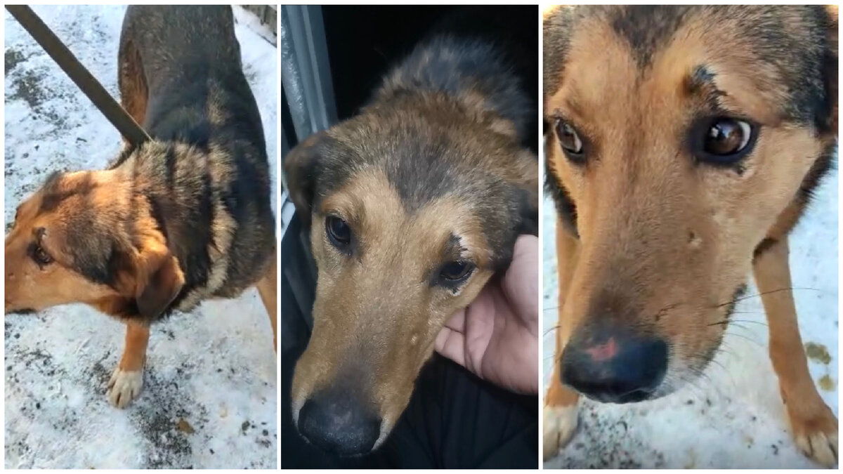 Гера в момент спасения 