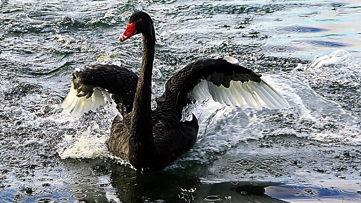     В новом году граждане крупнейших государств планеты будут выбирать своих лидеров — от результатов голосования во многом зависит наше общее будущее.