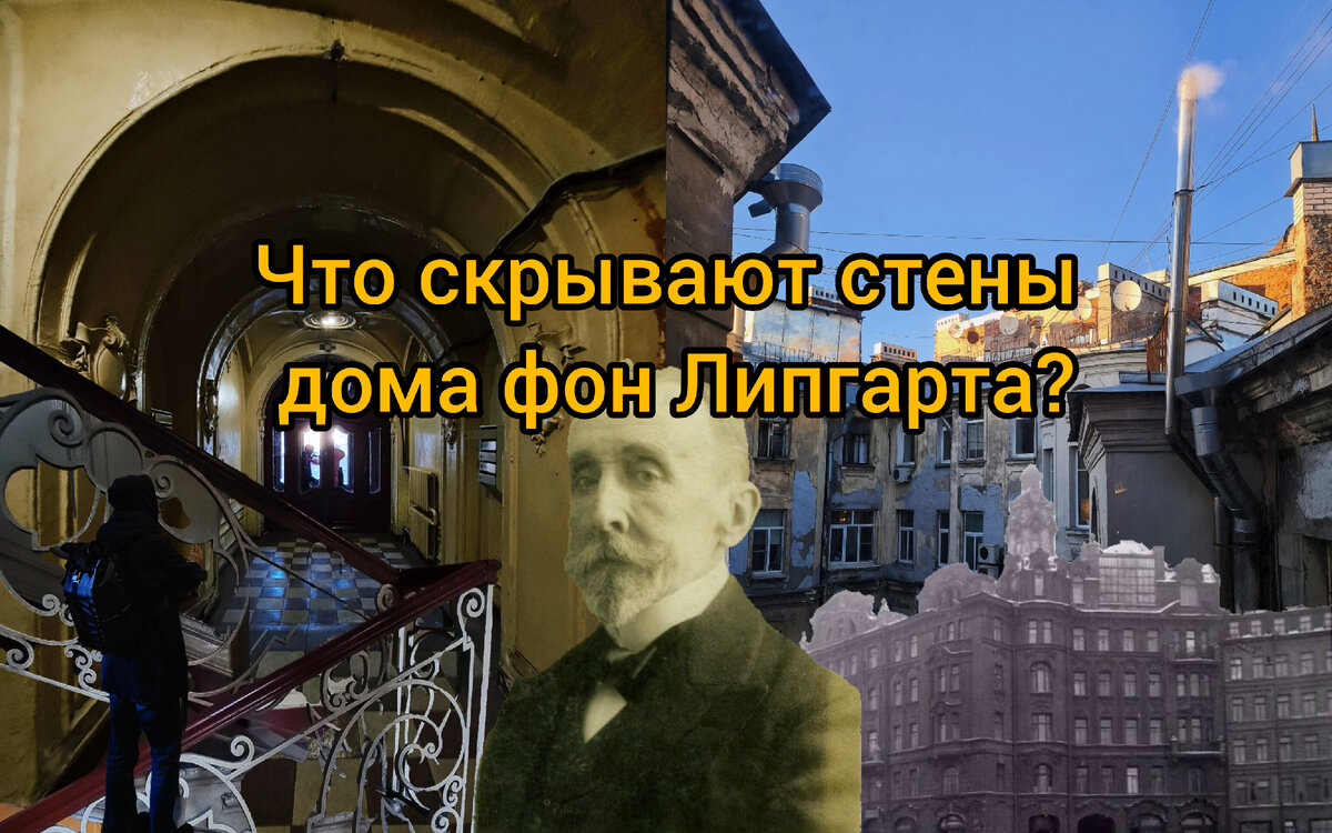 Фото: Парадная гостья