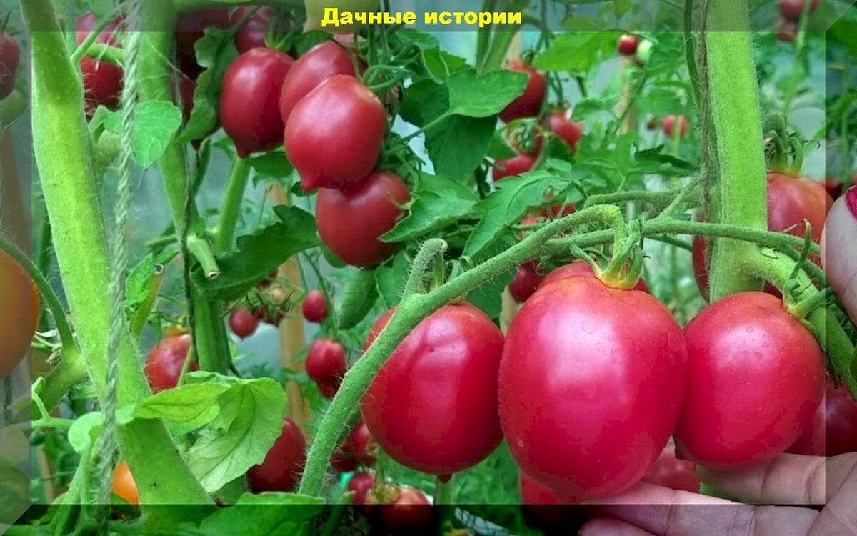 внимание в профессиональной деятельности. на что обращают внимание покупатели недвижимости. на какие качества товара обращают внимание в первую очередь. стоит обратить внимание именно. стоит обратить внимание именно.