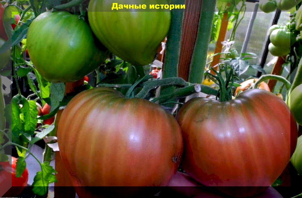 Человек думает. Парень задумался. Думаю стоит обратить внимание. Думаю стоит обратить внимание. Человек задумался.