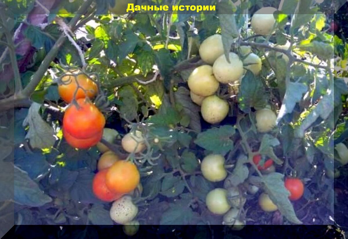 Учитель с учениками, школа, класс. Класса стоит обратить внимание на. Класса стоит обратить внимание на. Дети на уроке. Обратите внимание.