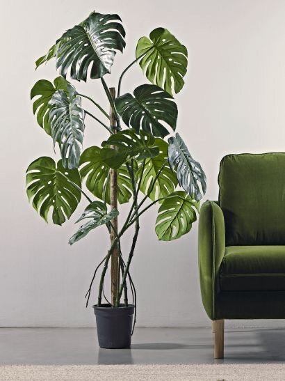 Tree style. Tree style