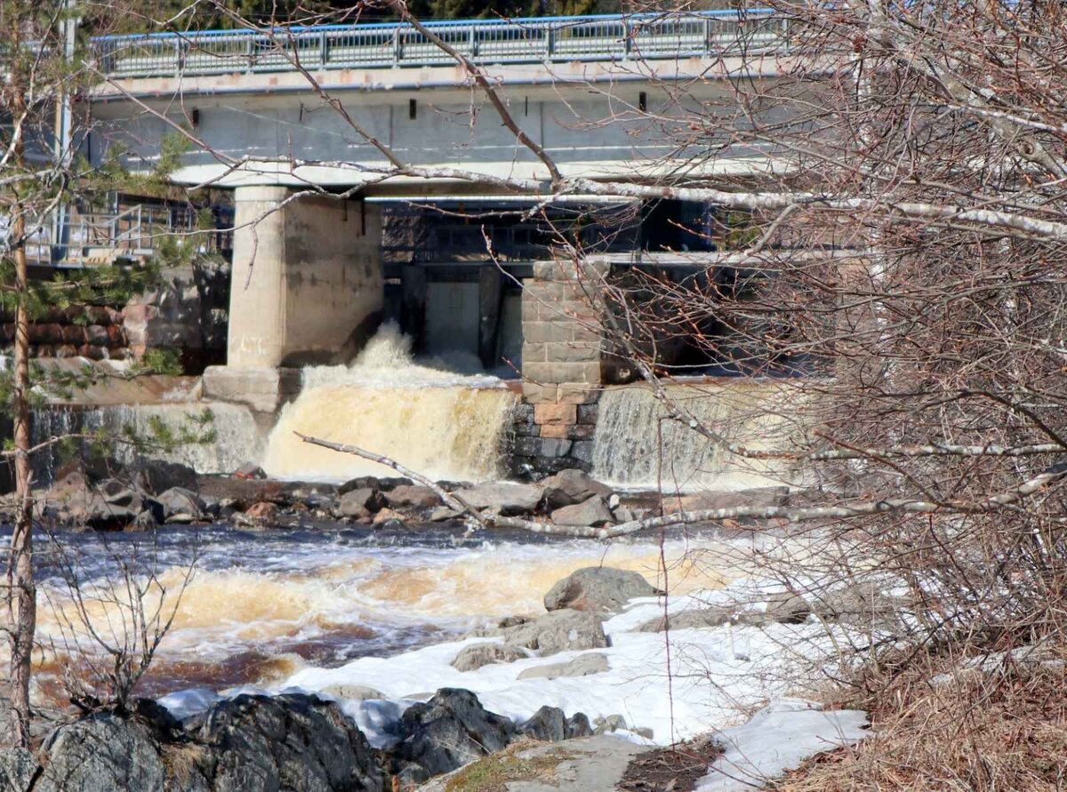 остров койонсаари карелия. северная сага карелия. карелия летом. карелия поход. путешествие по карелии.