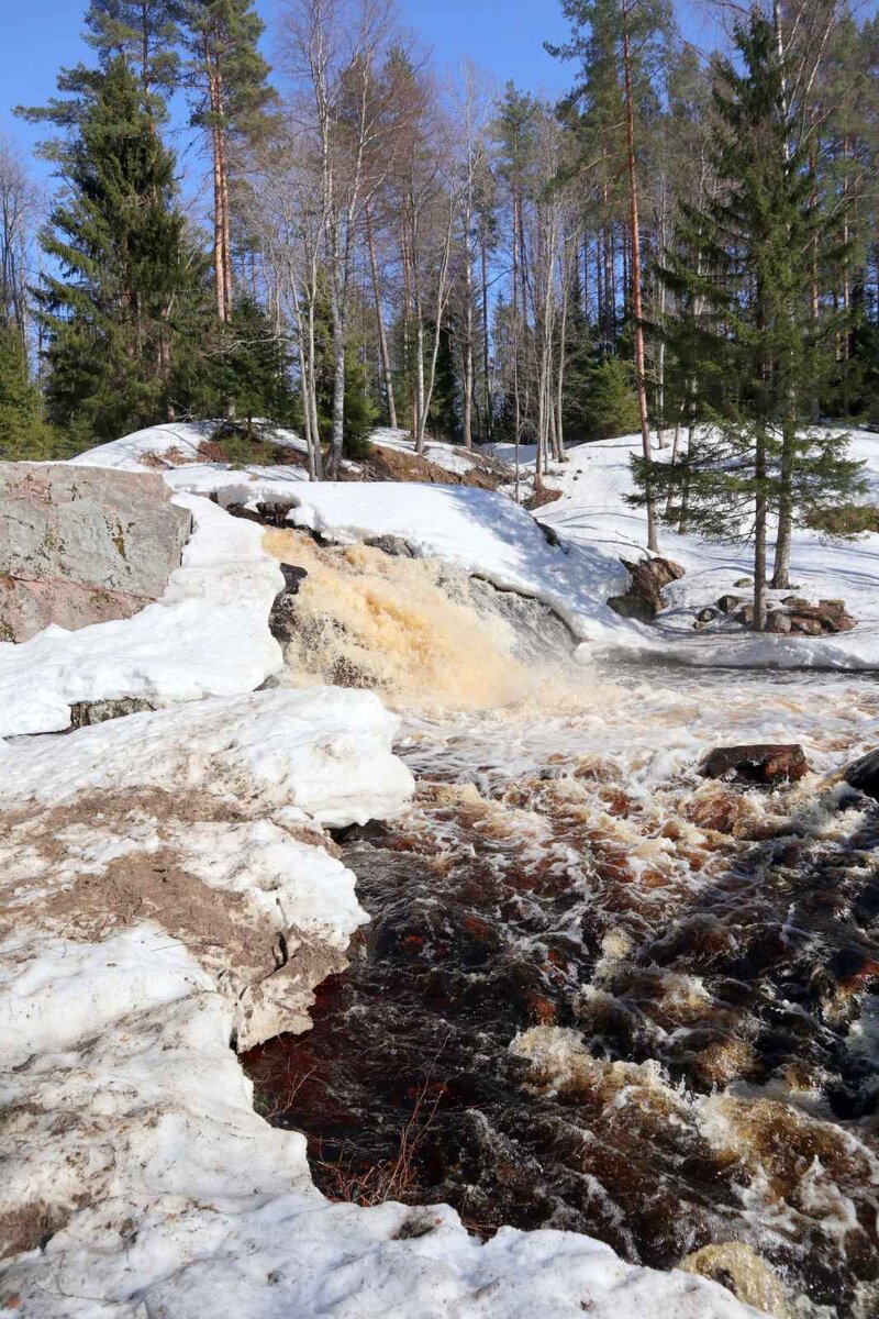 Ладожская усадьба карелия. Дом в карелии сортавала. Ладога домики на берегу. Ниэмелянхови карелия. Гостевой домик на берегу озера.
